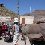 SONY DSC (April 21, 2012)